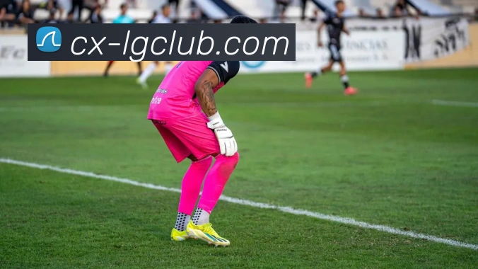 App Interface Preview