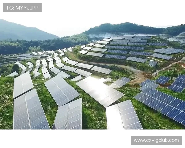 围绕足球场上逆天产业链崛起与未来多元化发展趋势全景式深度解析